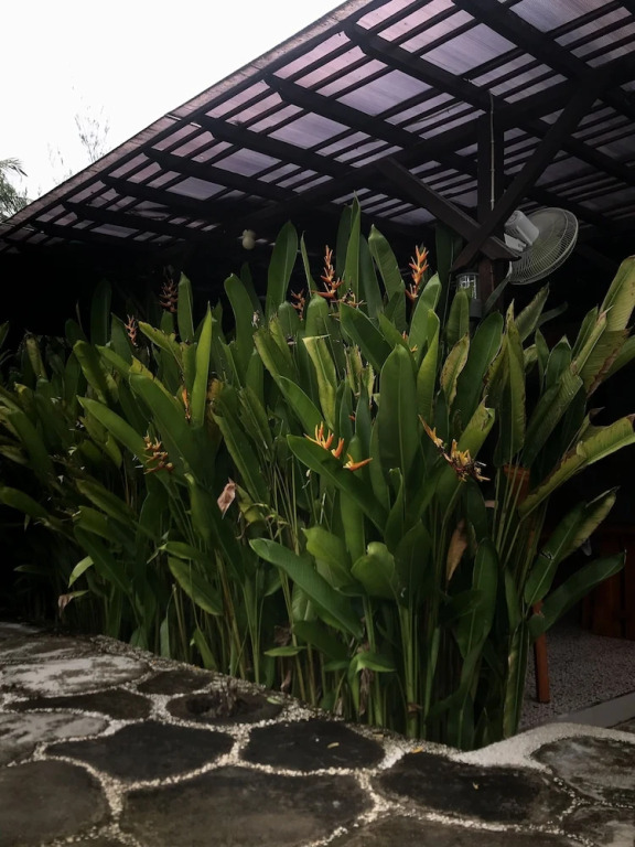 ZiFa Mandalika