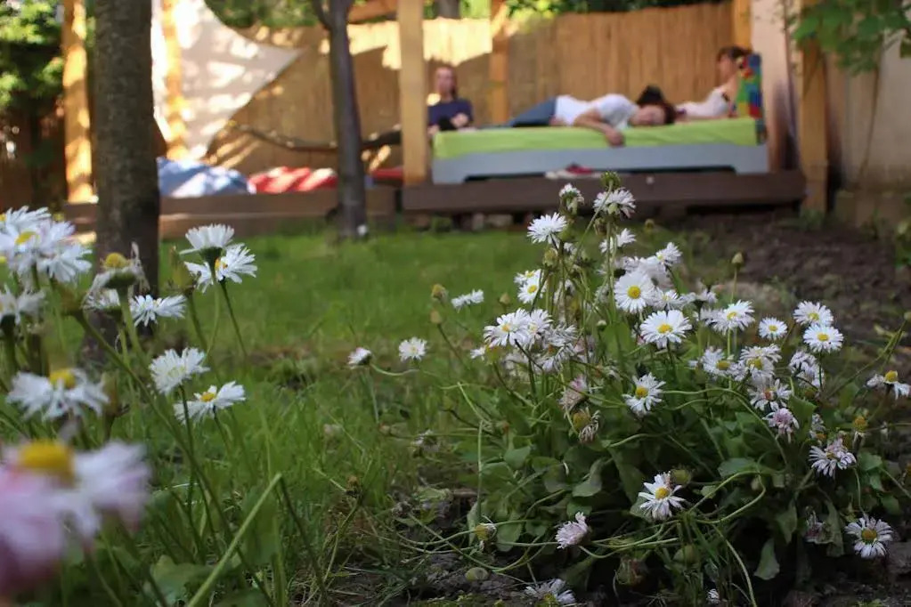Hostel Costel Timisoara
