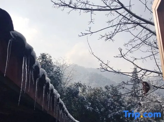 The Micro Hostel Mt. Emei