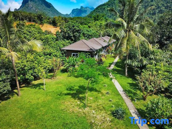 H&V Bungalow Vangvieng