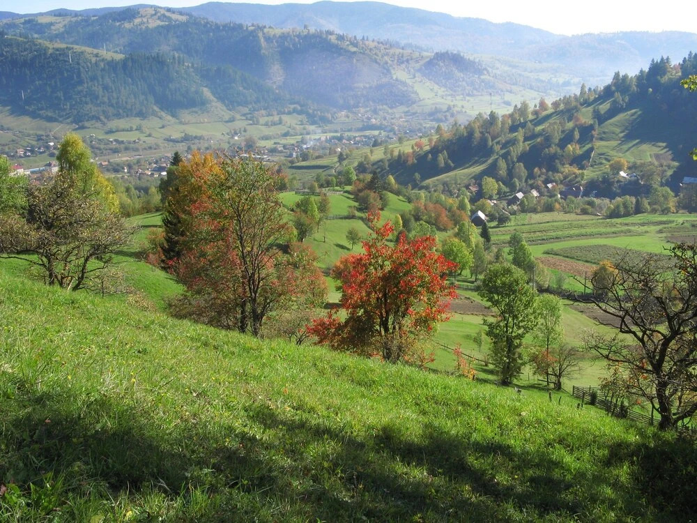 Csillag Panzio