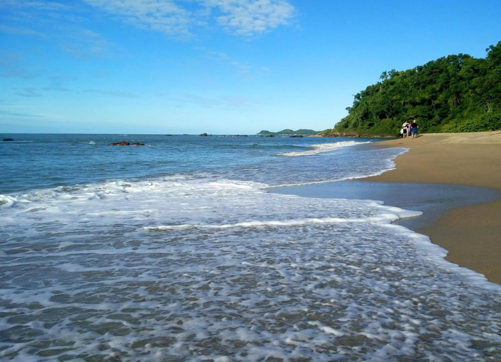Curta Praia de Armação - Casa Coqueiro