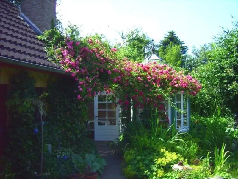 Ferienwohnung Diena