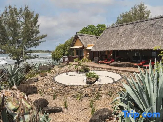 Club Med Albion