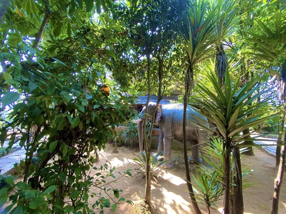 Rock Garden Resort