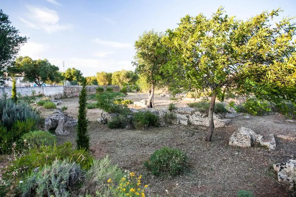 Villa Delle Palme