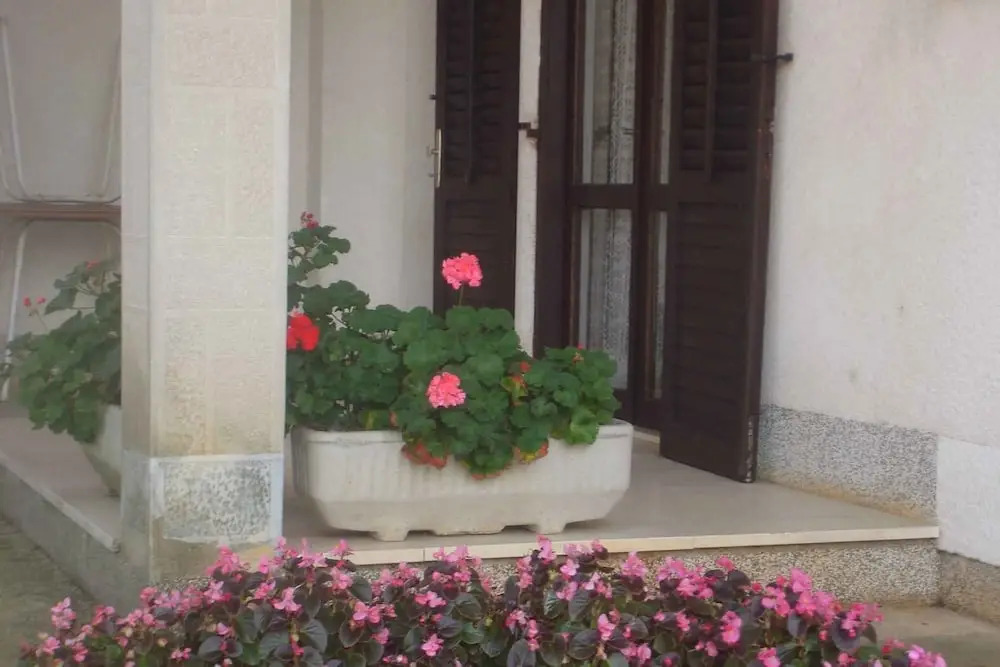 Apartments in Malinska/insel Krk 14332