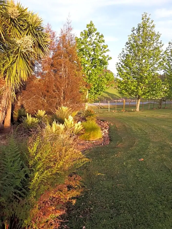 Rural Palms