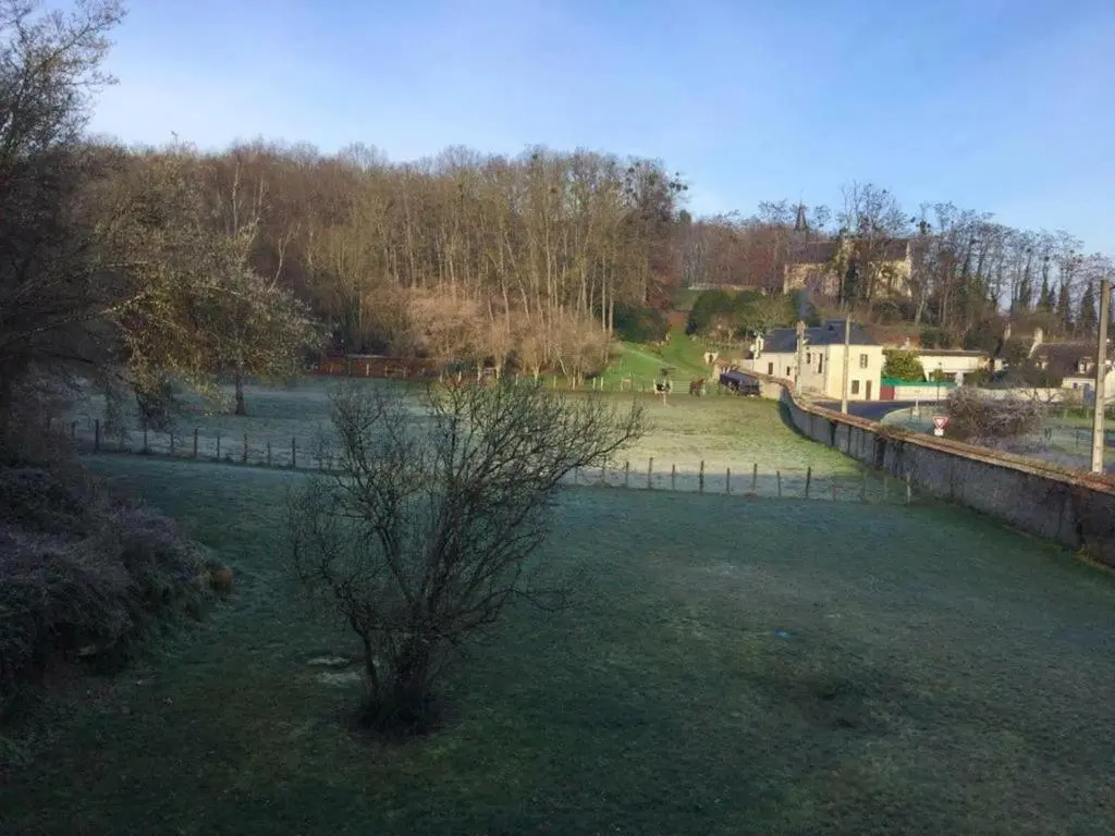 Élégante Demeure 17e avec Spa, Sauna et Authentique Cheminée, proche Châteaux de la Loire - FR-1-381-348