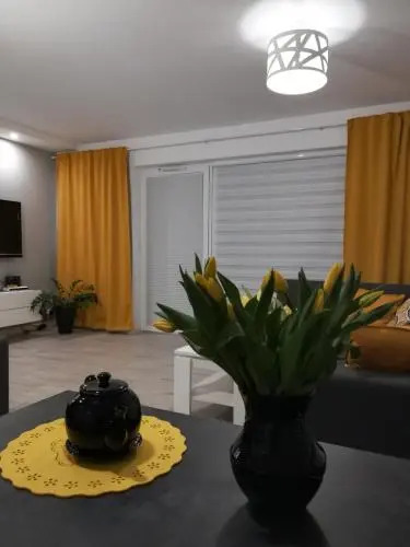 Luksusowy apartament z widokiem na jezioro