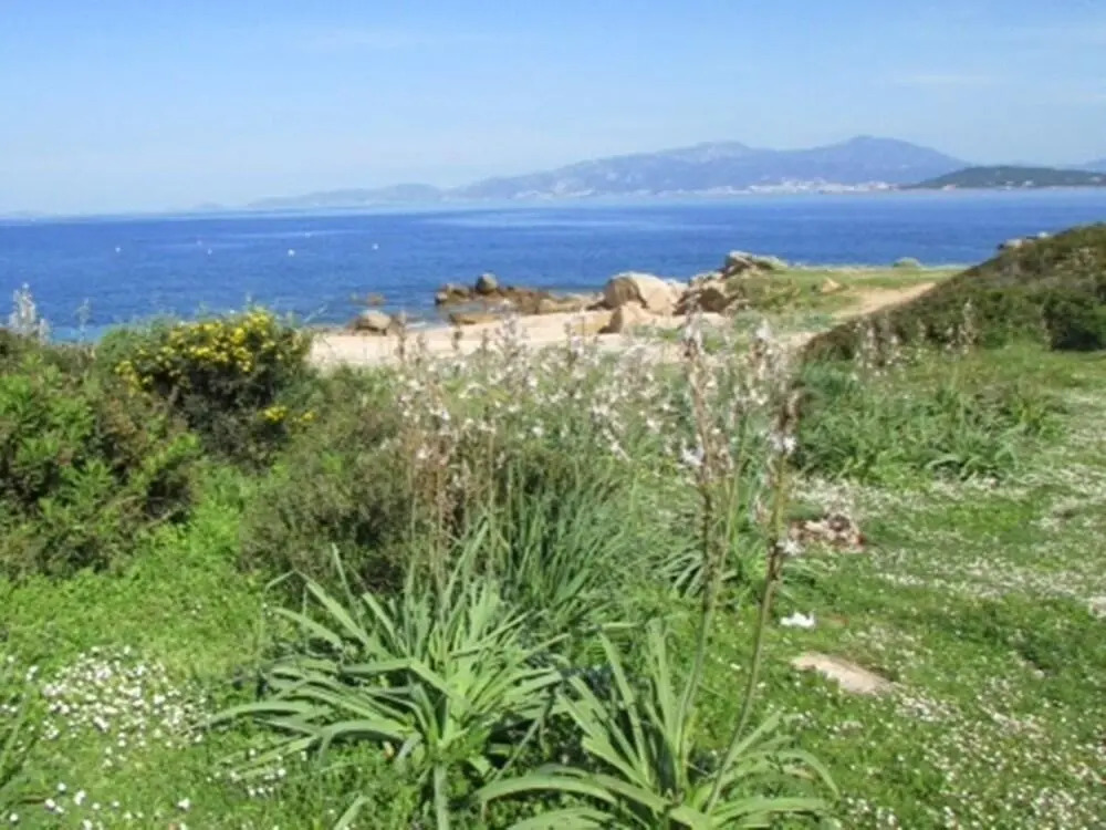 Cala Verghia
