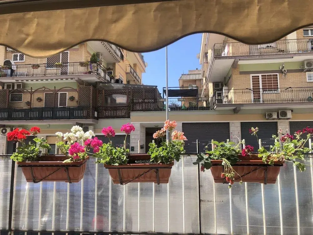 Flower Rooms