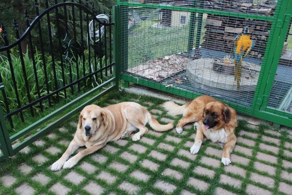 Apartmány - Chalupa Tara