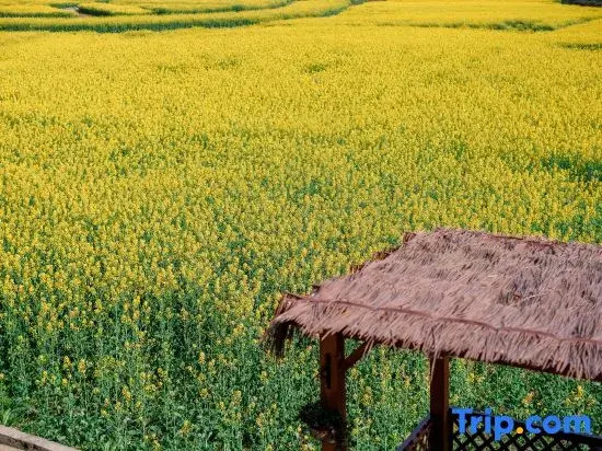 wuyuewanli homestay