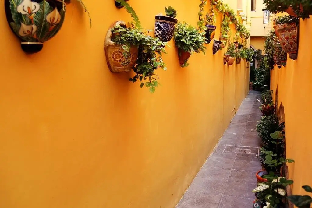 Casa Maricela B&B
