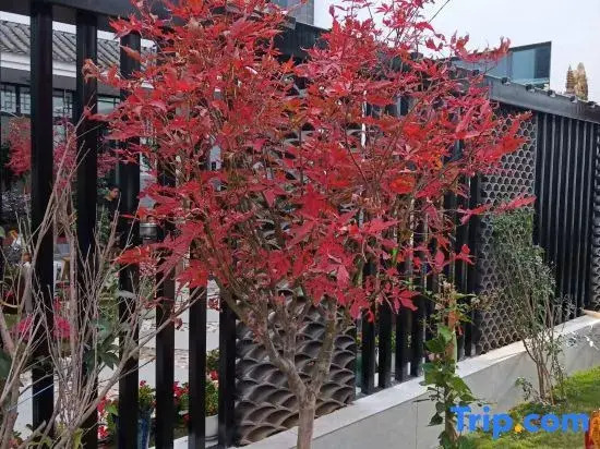 Dali Cangyu Private Inn