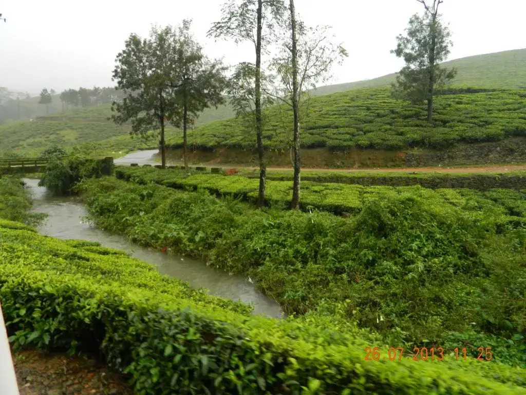 Shawn Dale Homestay