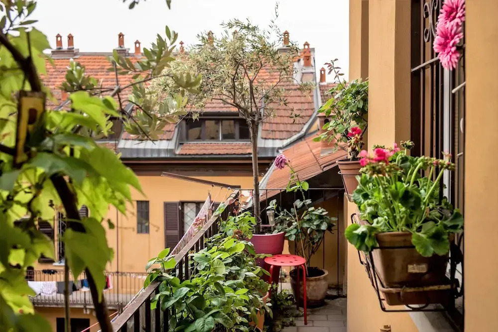 Charming Studio