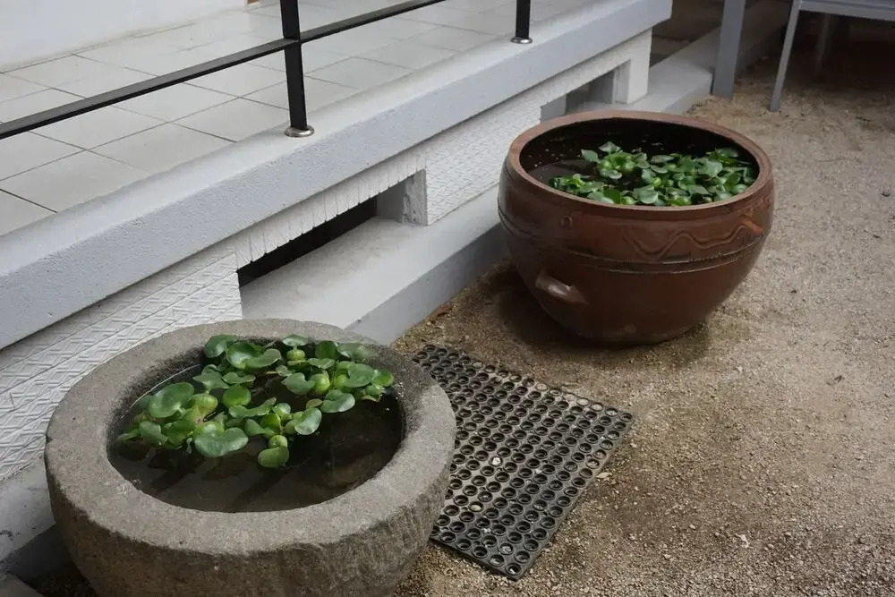 Go Woon Dang Hanok Guest House
