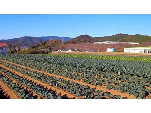 Hotel Select EhimeAinancho - Vacation STAY 99461v