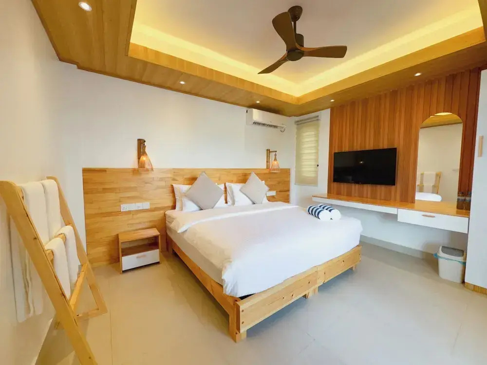 Pavona Maldives