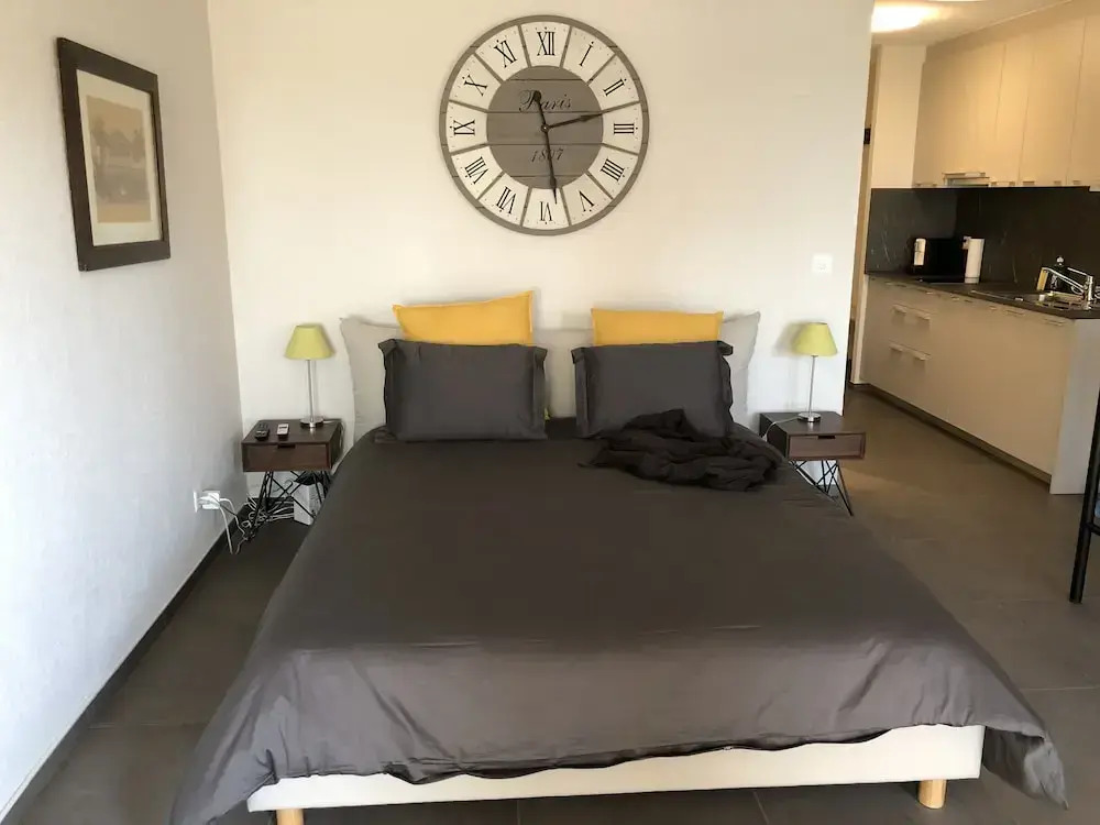 Amazing Studio In Lausanne Close To Epfl and Unil