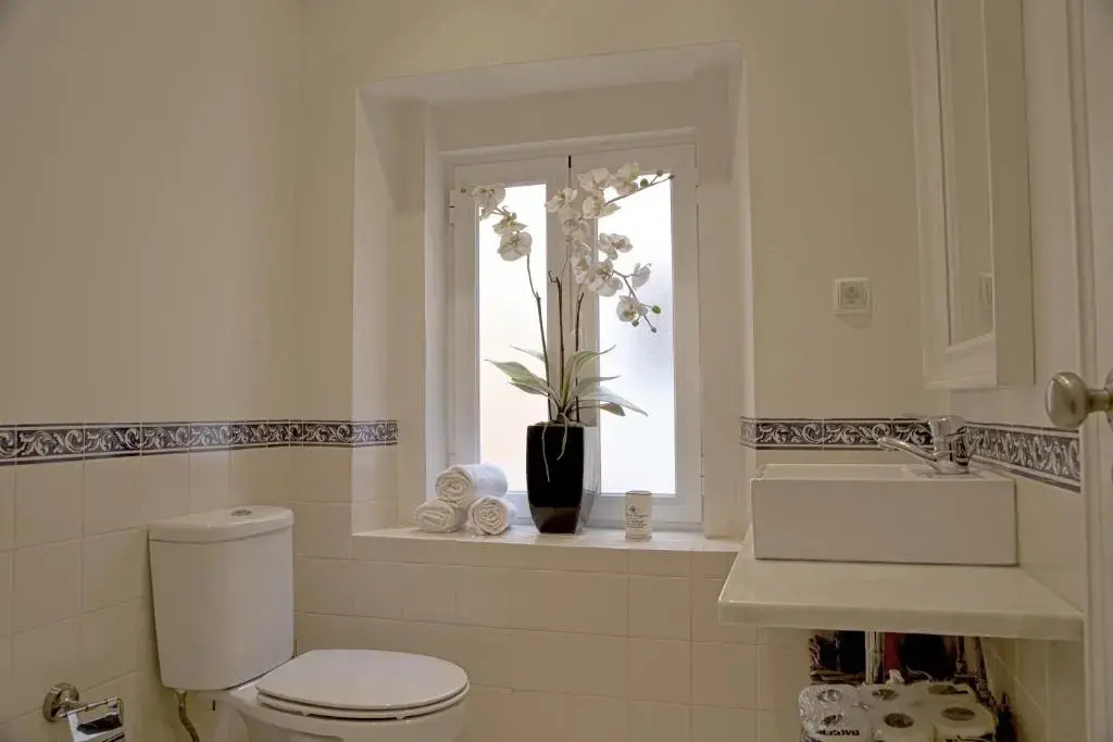 Sunny São Paulo Home