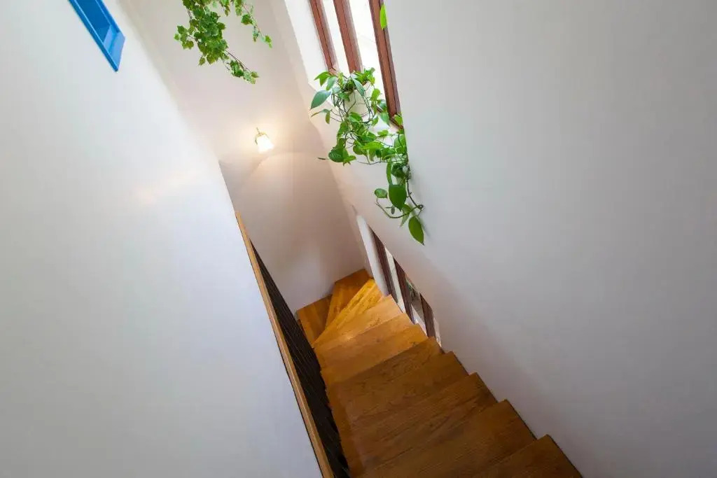 Apartments Joni