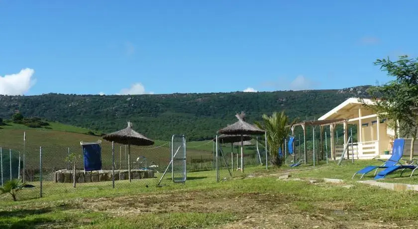 Maryvacas