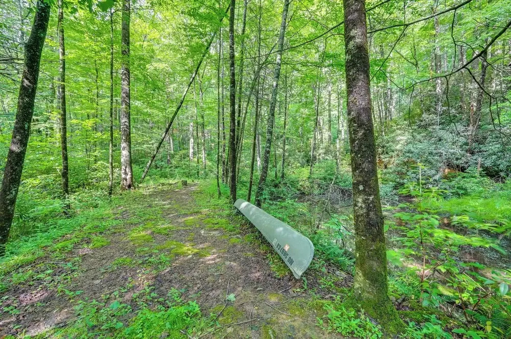 Rosman Vacation Rental w/ Charcoal Grill!