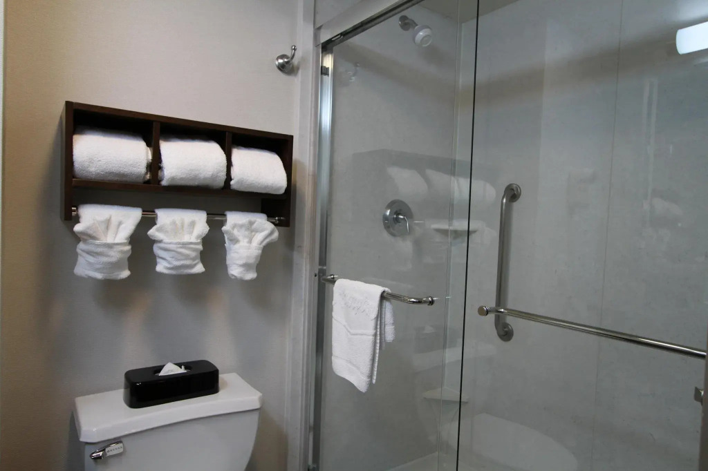SpringHill Suites by Marriott Seattle Downtown/South Lake Union