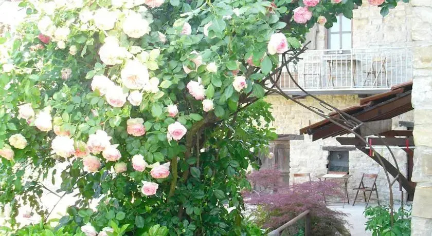 Ca Del Cucco