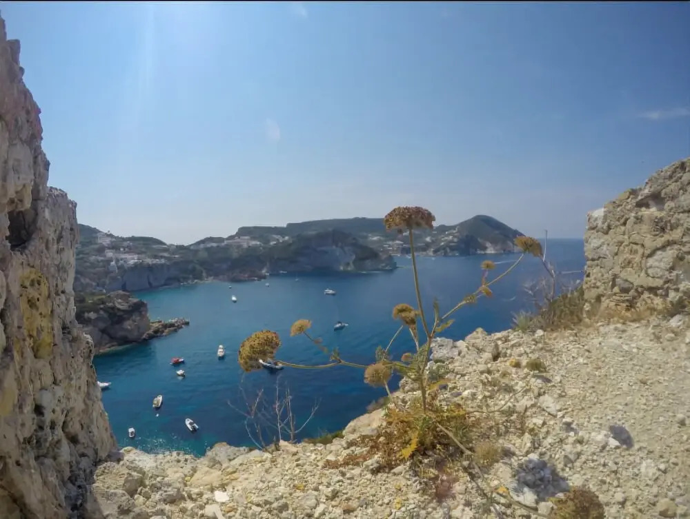 Maridea Ponza Scotti