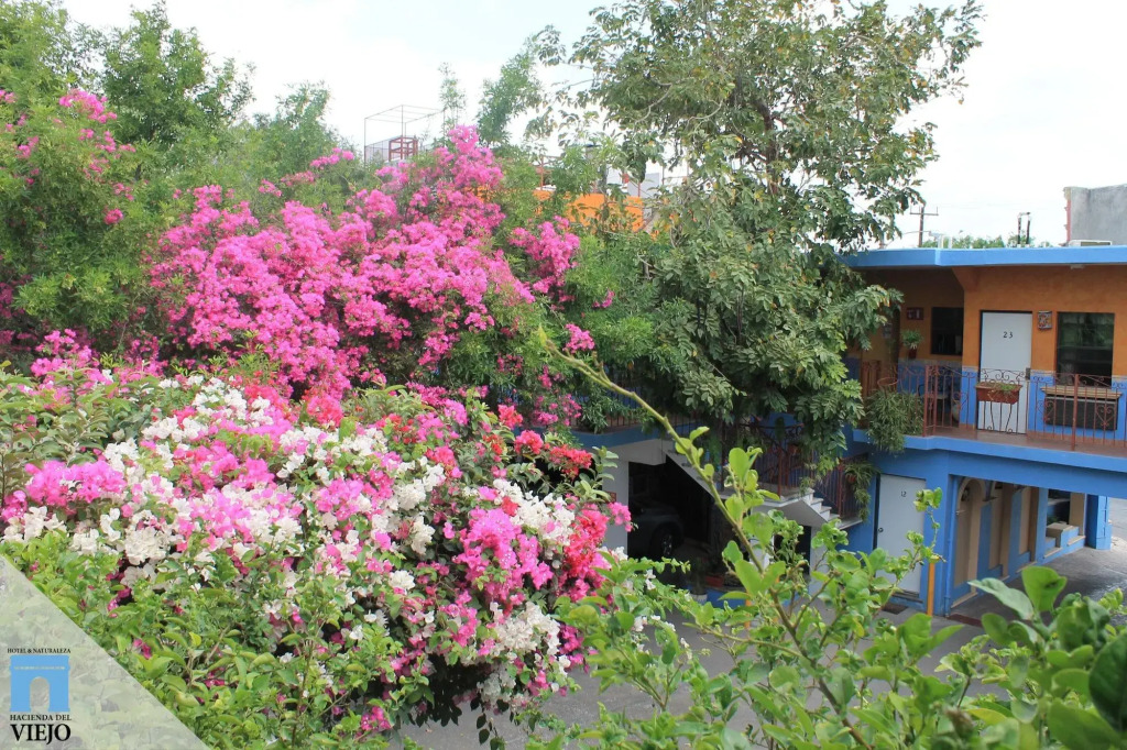 Hotel Hacienda del Viejo