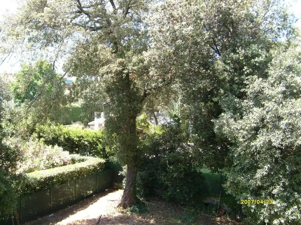 Bed & Breakfast Verdemare