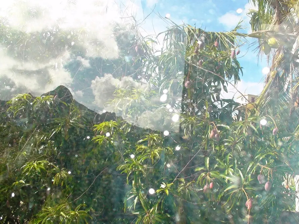 House With 3 Bedrooms In Coromandel With Wifi