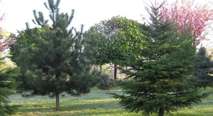 Kocsis Apartman