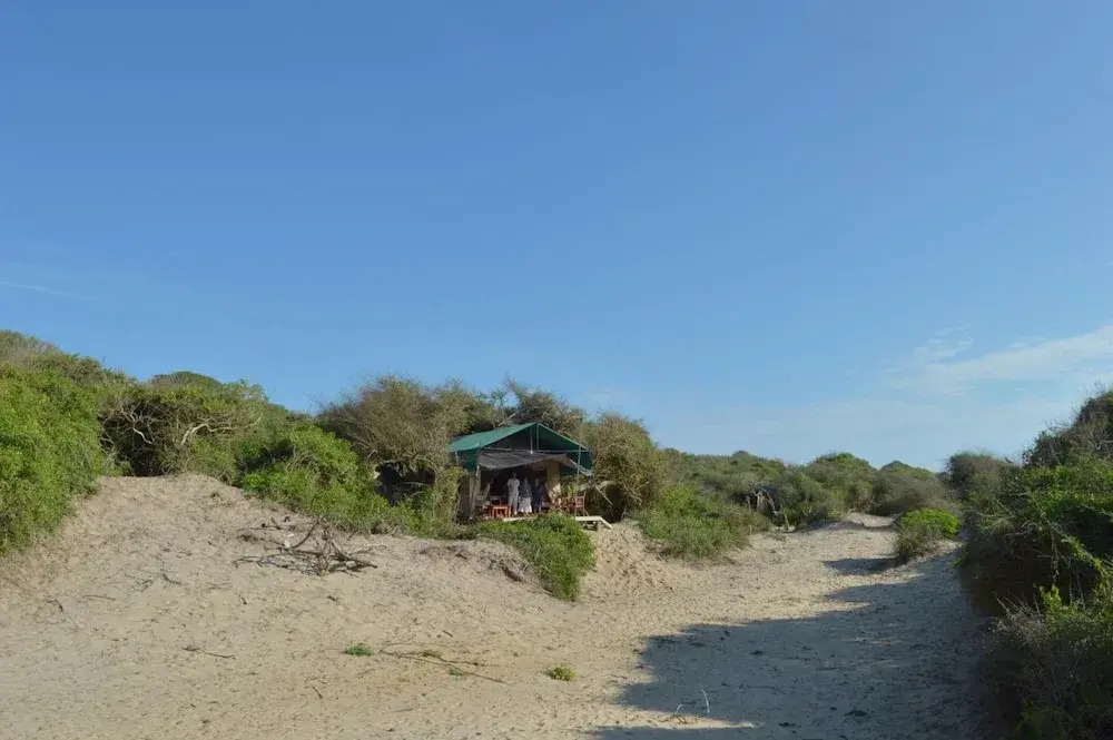 Back of Beyond Dune Camp Yala