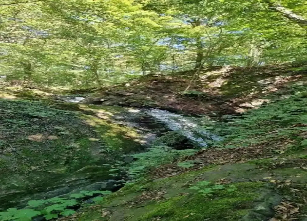 Harz-kurzurlaub in Lonau
