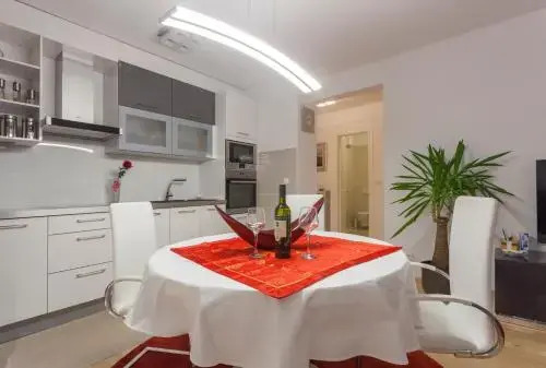 Luxury Apartment