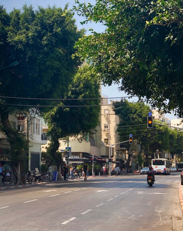 Ben Yehuda - Bograshov 1 BR with Terrace