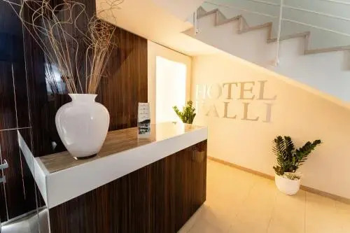 Hotel Falli