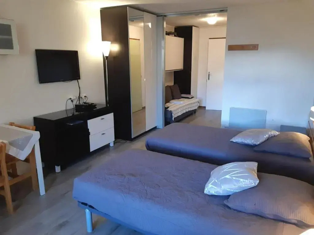 Appartement Brides-les-Bains, 1 pièce, 4 personnes - FR-1-512-149