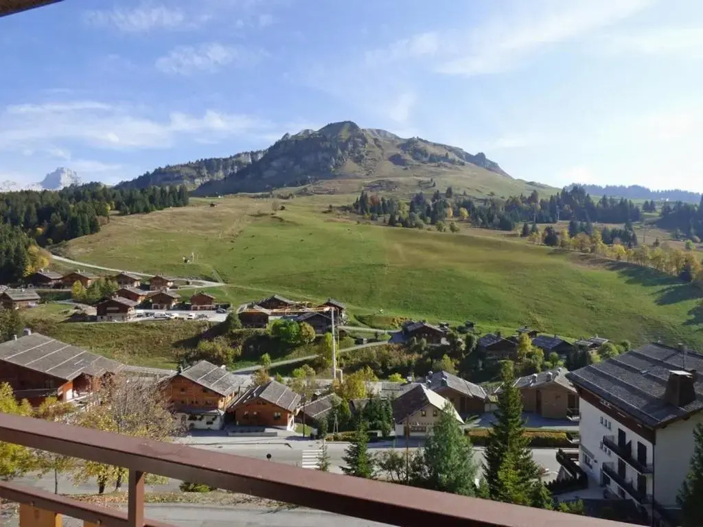 Studio Le Grand-Bornand, 1 pièce, 4 personnes - FR-1-458-114