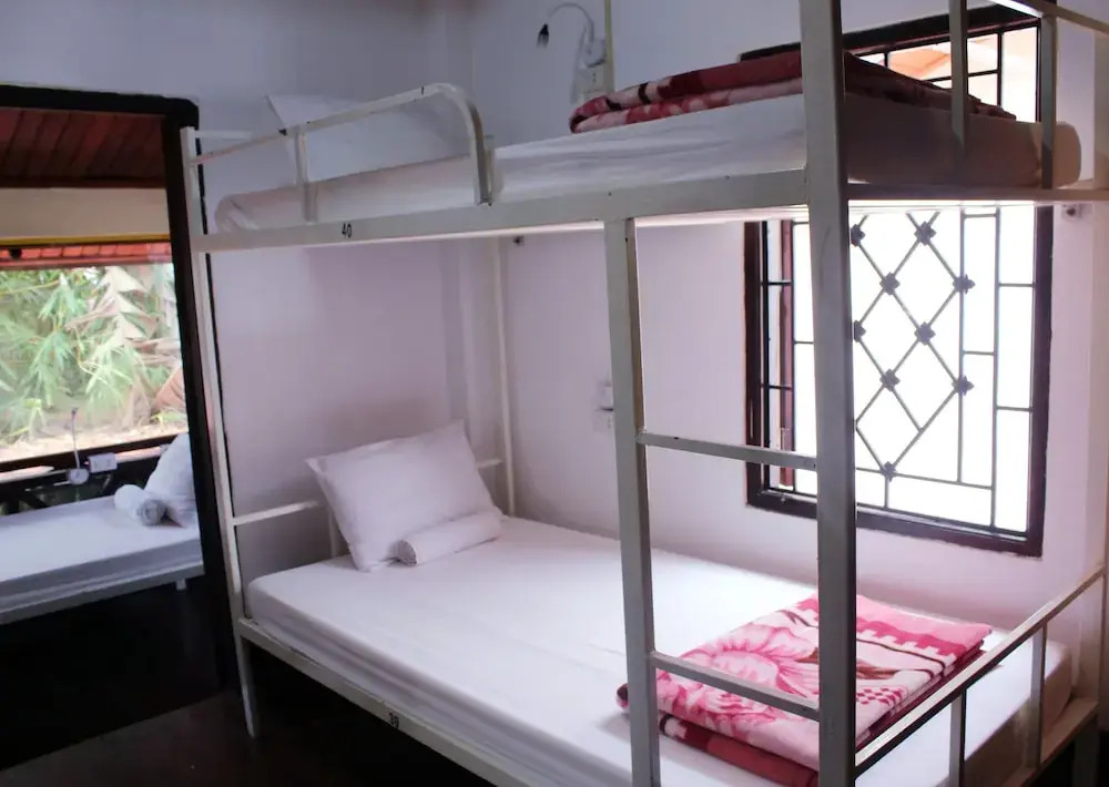 City Backpackers & Travel