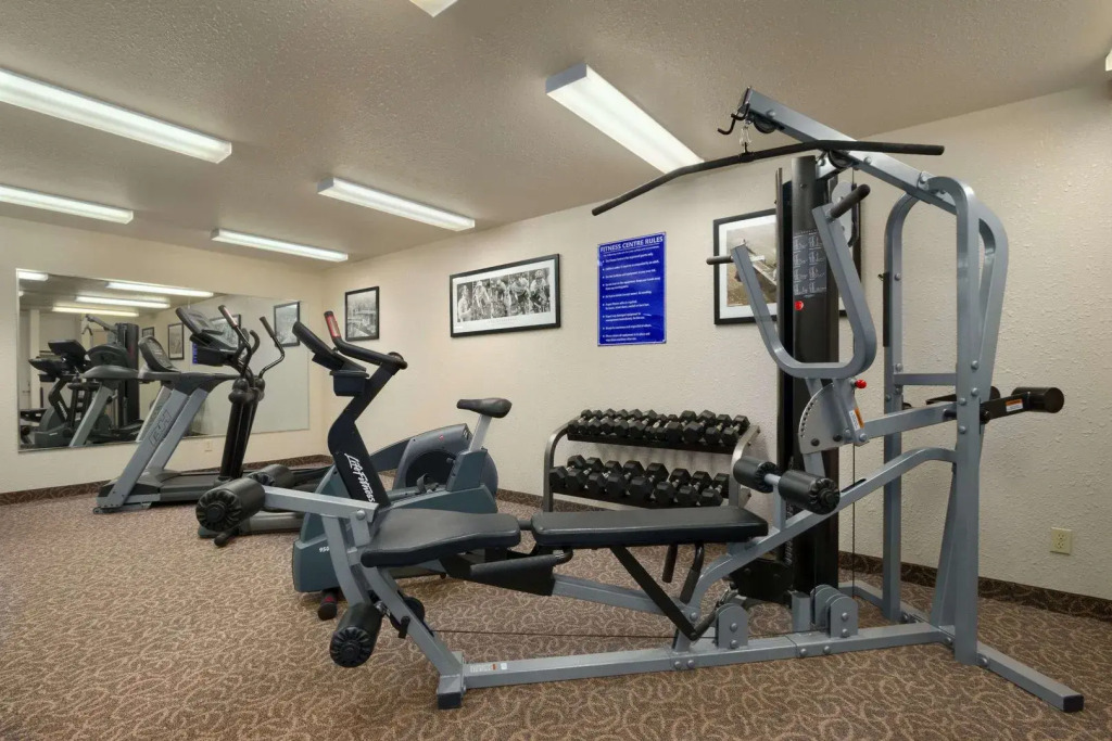 Prairie Crest Red Deer by IHG