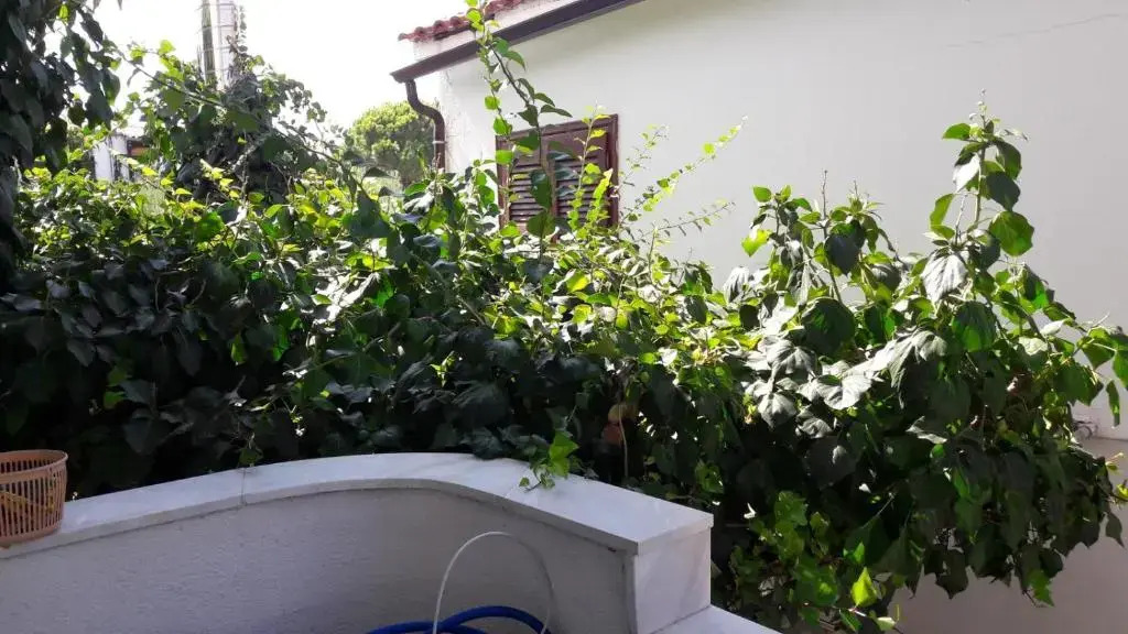 Beautiful Apartment 70 Meters From The Sea