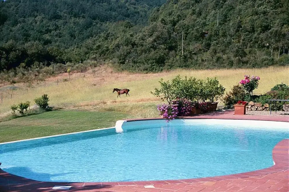 House With 2 Bedrooms in Murlo, With Private Pool, Furnished Terrace a