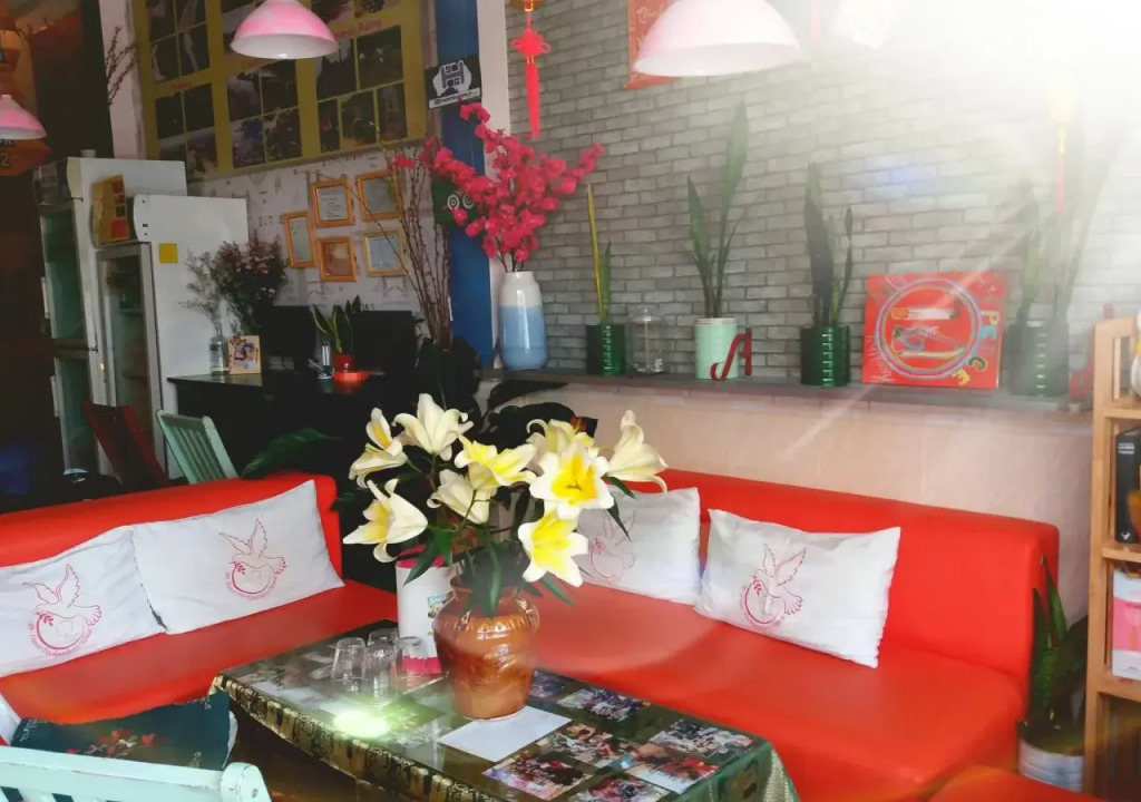 Mr Peace Backpackers House