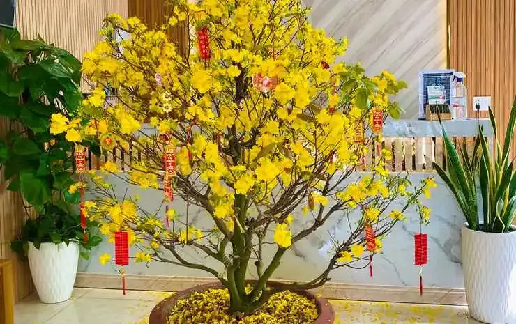 Ngọc Anh Hotel